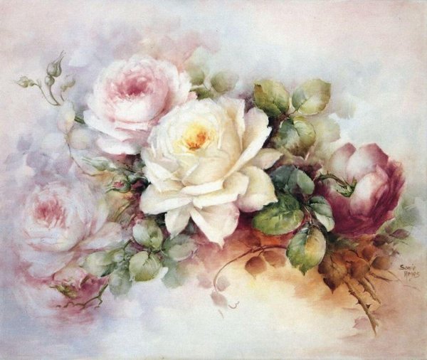 Розы Sonie Ames