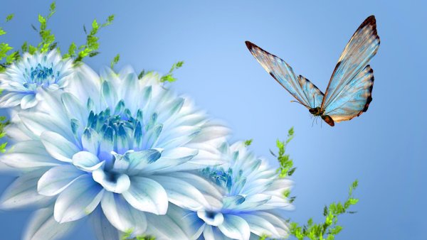 Обои с бабочками