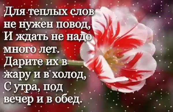 Цветы для близкого человека