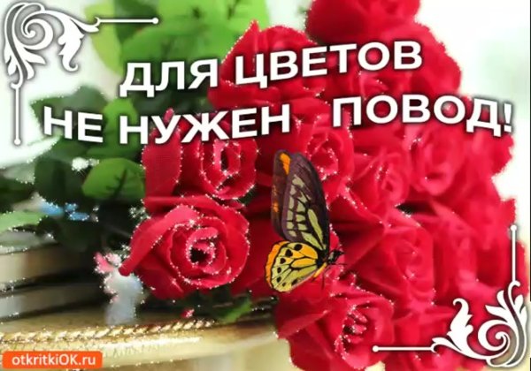 Стих слайд Дарите женщинам цветы