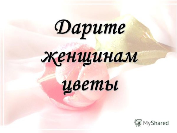 Гифка мужчина дарит цветы женщине