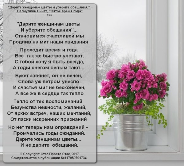 Статусы про цветы