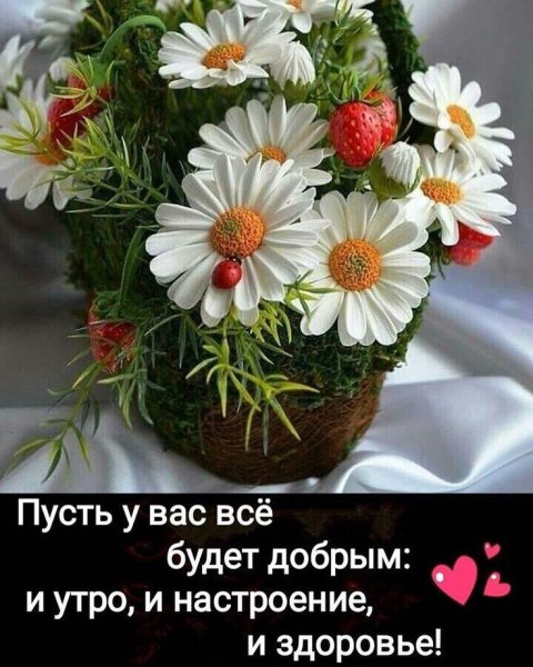 Открытки с надписями