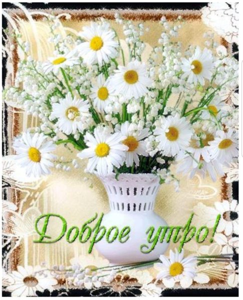 Яркие осенние цветы