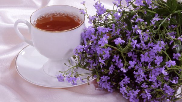 Полевые цветы и чай