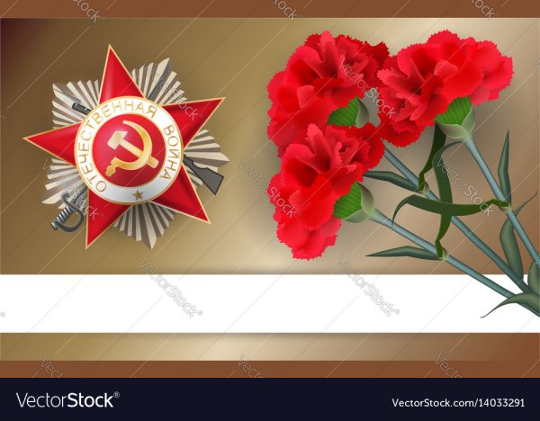 Гвоздики 9 мая