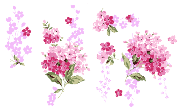 Цветочки без фона