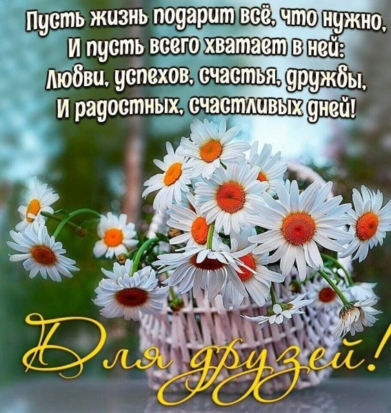 Пожелания с добрым утром с ромашками