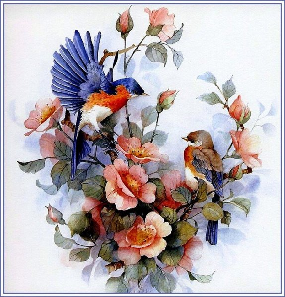 Рисованные цветы птицы и бабочки