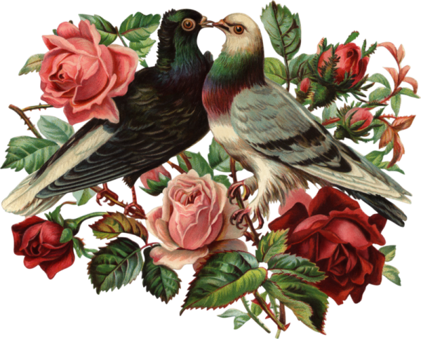 Carolyn Shores Wright картины