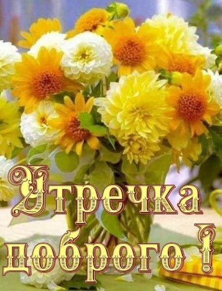 Цветы солнечное настроение