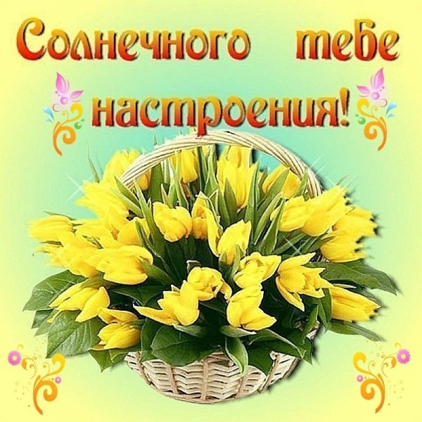 Жёлтые цветы с добрыми пожеланиями