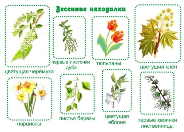 Весенние находилки для детей