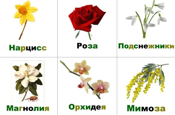 Карточки цветы