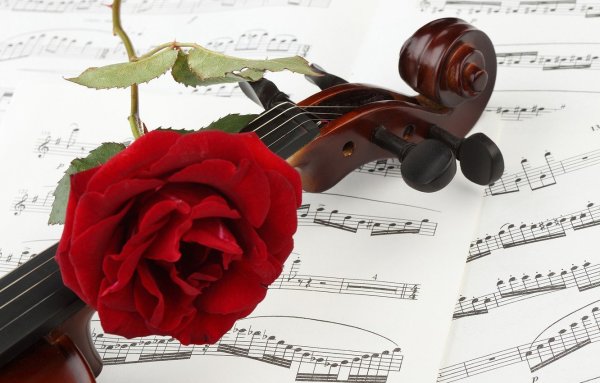 Цветы для певицы