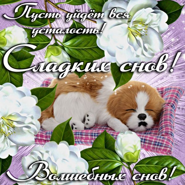Открытки с пожеланиями доброй ночи