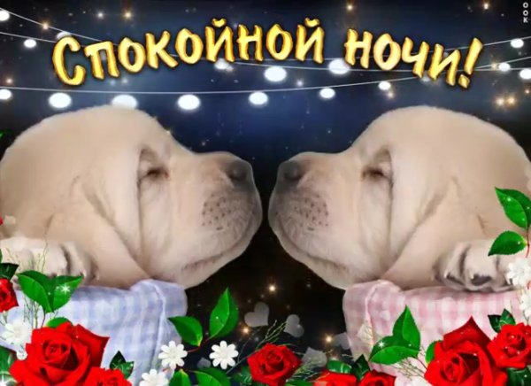 Спокойной пятничной ночи