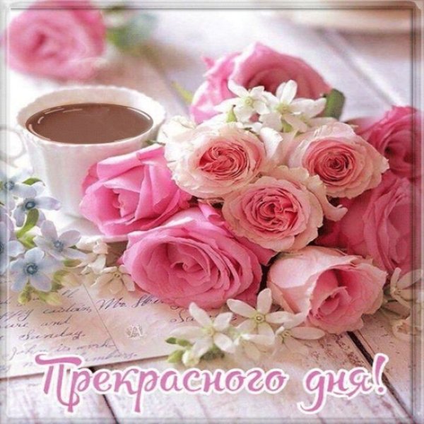 Доброго нежного дня