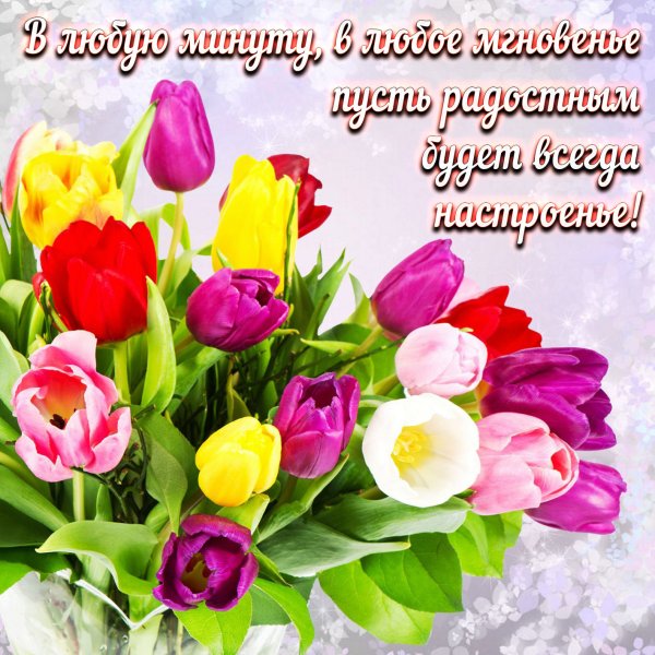 С днём рождения женщине подснежники