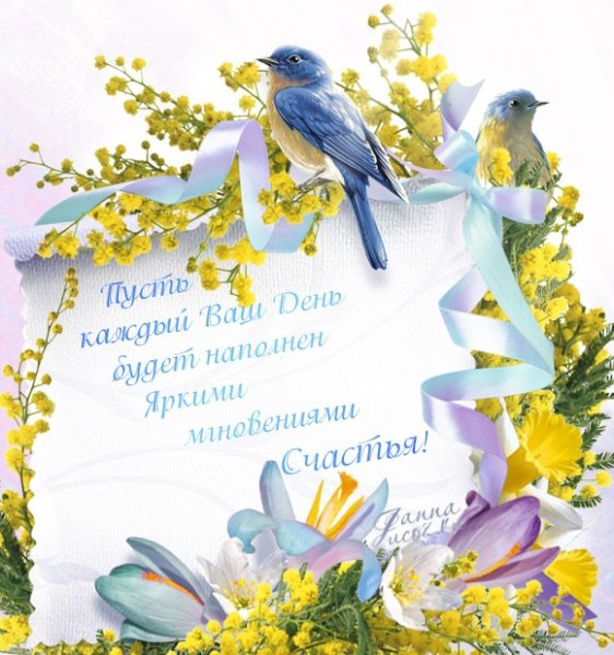 Красивый букет подснежников