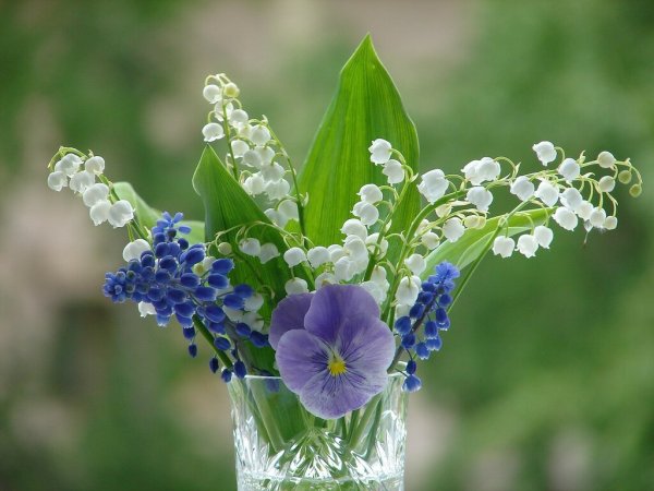 Цветы Ландыши и сирень