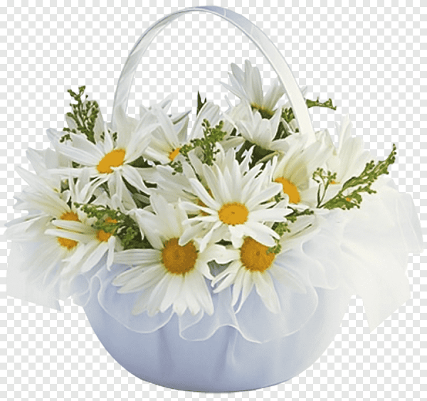 Открытки с ромашками