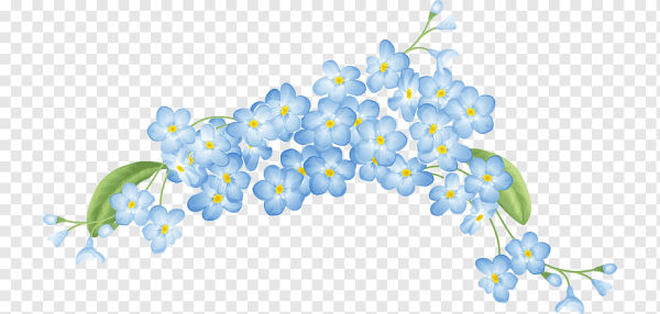 Голубые цветочки на прозрачном фоне