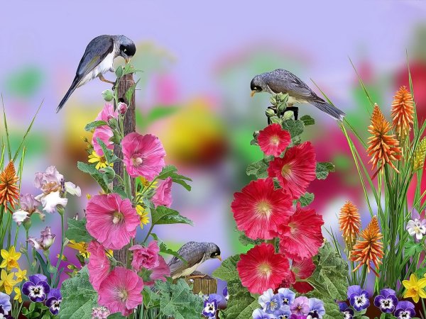 Яркие весенние птицы