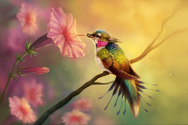 Природа цветы птицы