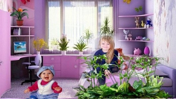 Растения для детской комнаты