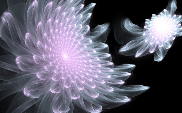 Цветы. 3 D