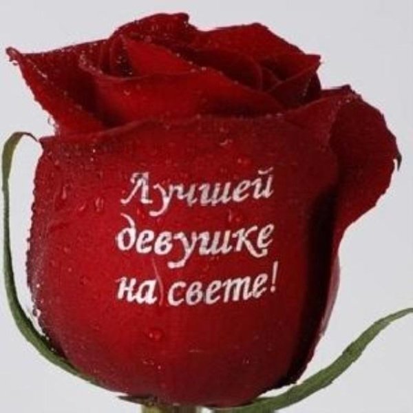 Розы с надписью