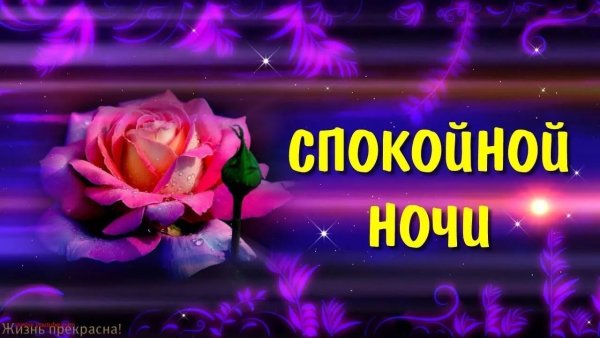 Спокойной весенней ночи любимому