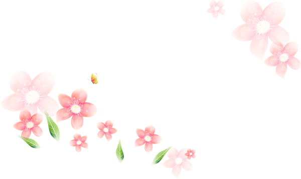 Нежные цветы на прозрачном фоне