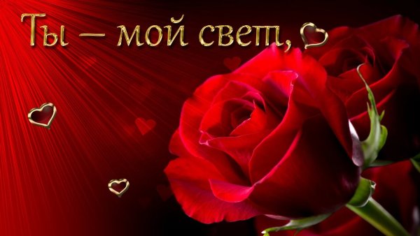 Открытки любимой женщине