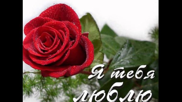Открытки с цветами красивые