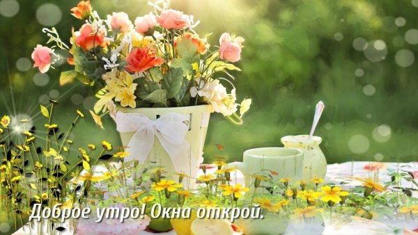 С добрым светлым летним утром