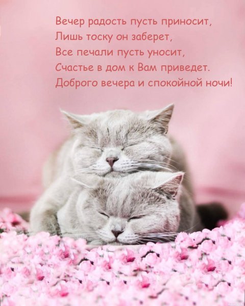 Распускается нежный. Цветок