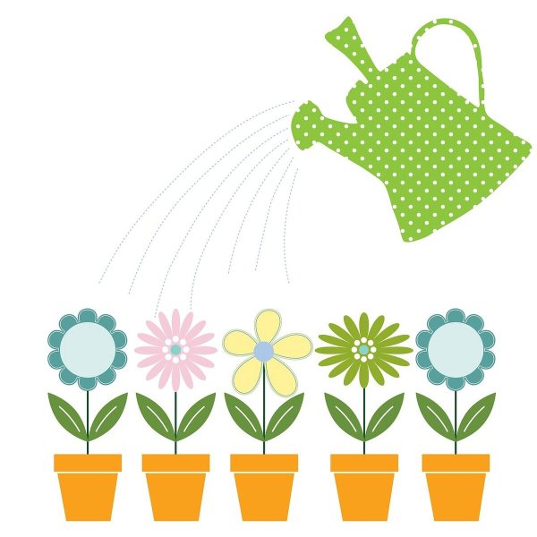 Посадка растений в детском саду с детьми