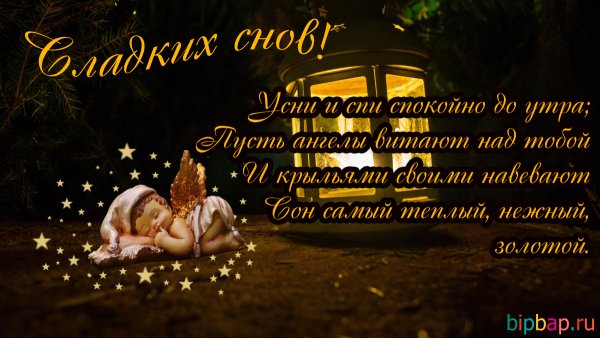 Цветы с пожеланием спокойной ночи