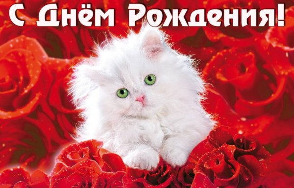 Красивые поздравления с днем рождения