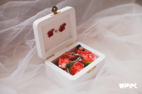 Коробка для колец с живыми цветами
