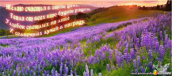 С днём рождения природа