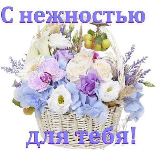 Букет шикарный