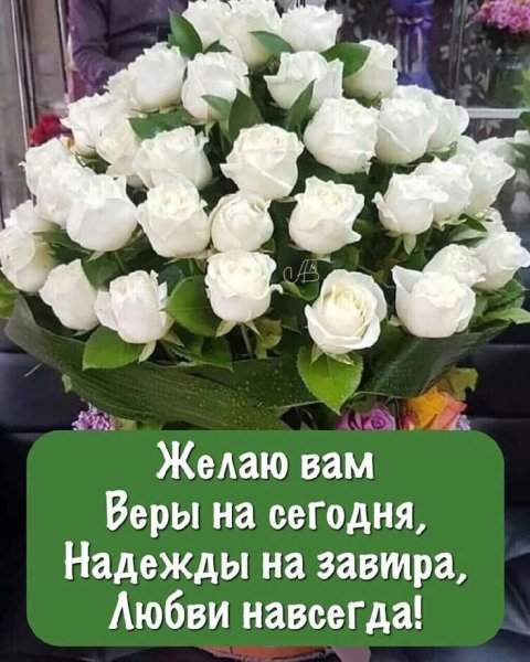 Интернет магазин цветов с доставкой в Ростове-на-Дону