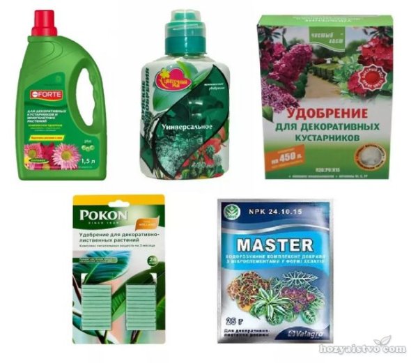 Удобрения для растений названия