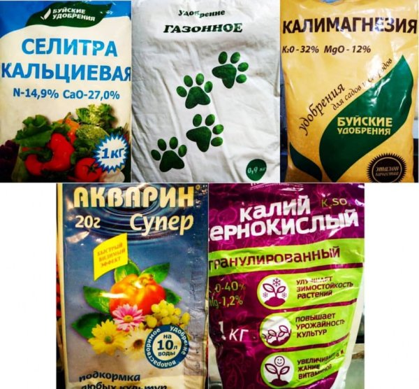 Удобрение для рассады