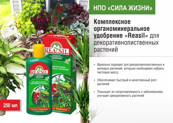 Удобрения для растений