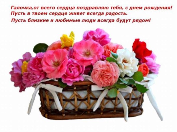С днём рождения галочка