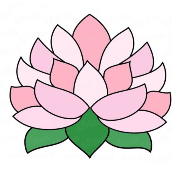 Рисунок лотоса легкий